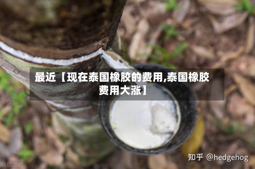 最近【现在泰国橡胶的费用,泰国橡胶费用大涨】