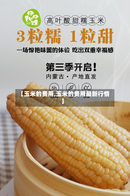 【玉米的费用,玉米的费用最新行情】