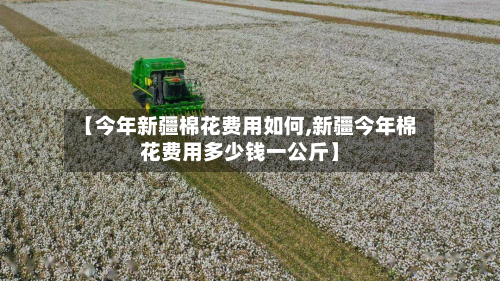 【今年新疆棉花费用如何,新疆今年棉花费用多少钱一公斤】-第1张图片