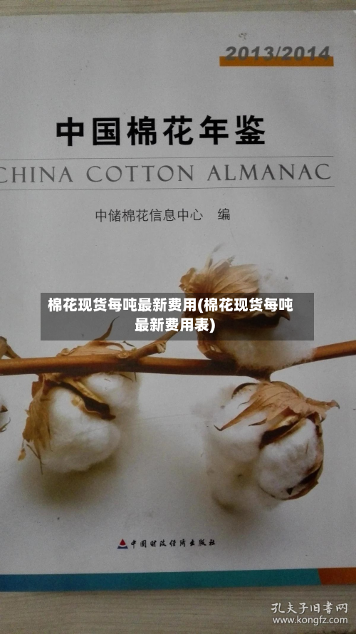 棉花现货每吨最新费用(棉花现货每吨最新费用表)-第1张图片