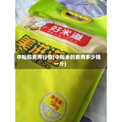 中籼稻费用行情(中籼米的费用多少钱一斤)