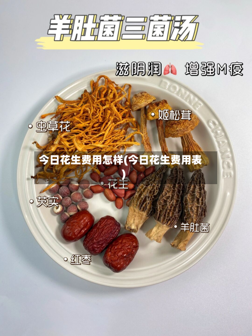 今日花生费用怎样(今日花生费用表)