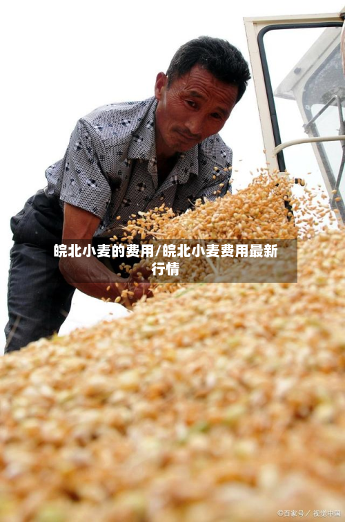 皖北小麦的费用/皖北小麦费用最新行情