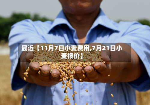 最近【11月7日小麦费用,7月21日小麦报价】