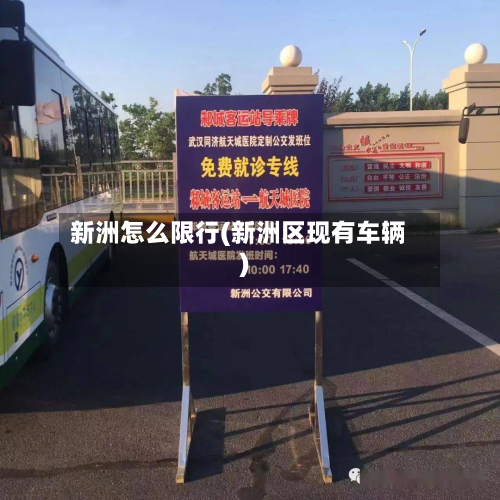新洲怎么限行(新洲区现有车辆)