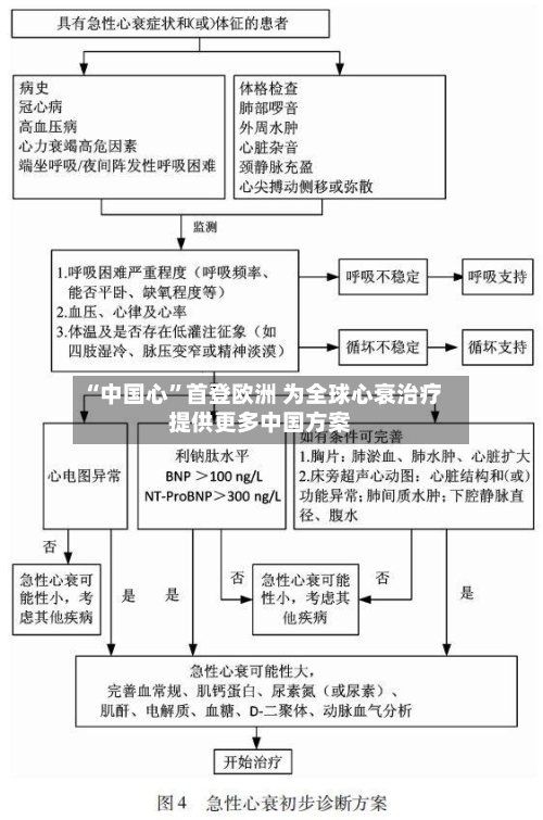 “中国心”首登欧洲 为全球心衰治疗提供更多中国方案