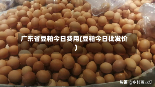 广东省豆粕今日费用(豆粕今日批发价)-第1张图片
