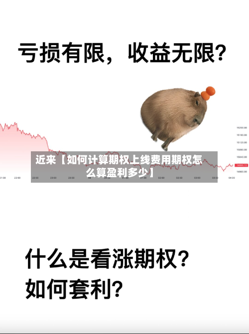 近来【如何计算期权上线费用期权怎么算盈利多少】