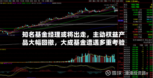 知名基金经理或将出走，主动权益产品大幅回撤，大成基金遭遇多重考验