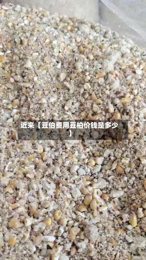 近来【豆伯费用豆柏价钱是多少】