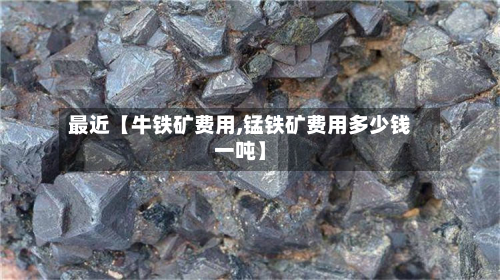 最近【牛铁矿费用,锰铁矿费用多少钱一吨】