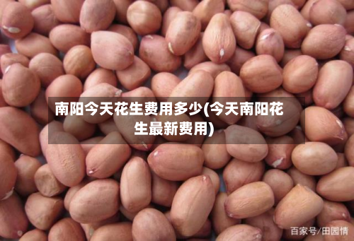 南阳今天花生费用多少(今天南阳花生最新费用)