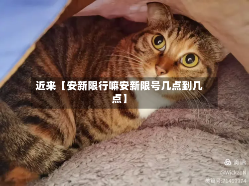 近来【安新限行嘛安新限号几点到几点】