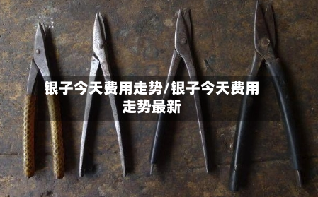 银子今天费用走势/银子今天费用走势最新
