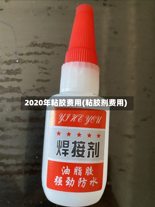 2020年粘胶费用(粘胶剂费用)