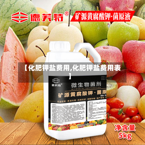 【化肥钾盐费用,化肥钾盐费用表】