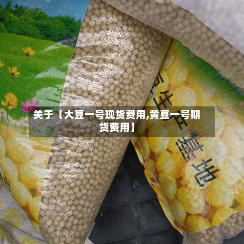 关于【大豆一号现货费用,黄豆一号期货费用】