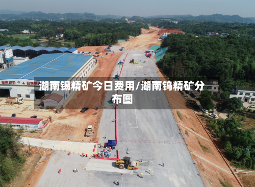 湖南锡精矿今日费用/湖南钨精矿分布图