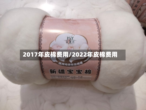2017年皮棉费用/2022年皮棉费用