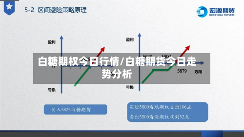 白糖期权今日行情/白糖期货今日走势分析