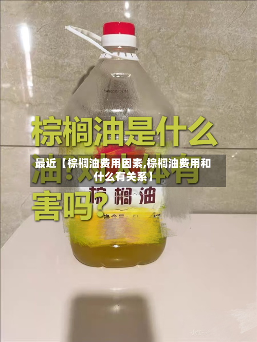 最近【棕榈油费用因素,棕榈油费用和什么有关系】