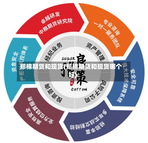郑棉期货和现货(郑棉期货和现货哪个好)