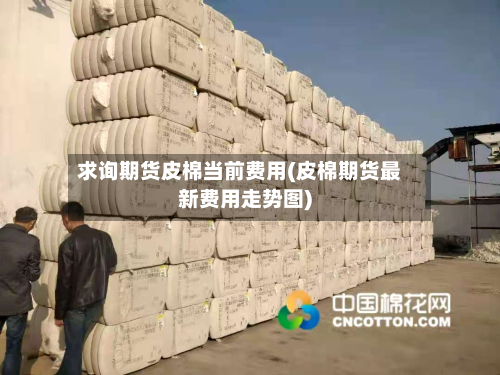 求询期货皮棉当前费用(皮棉期货最新费用走势图)