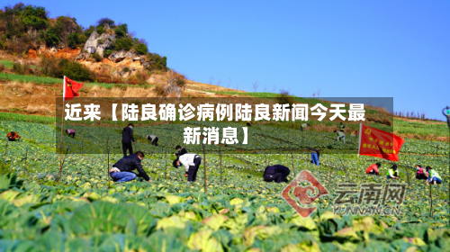 近来【陆良确诊病例陆良新闻今天最新消息】