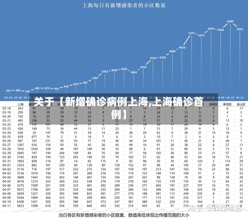 关于【新增确诊病例上海,上海确诊首例】