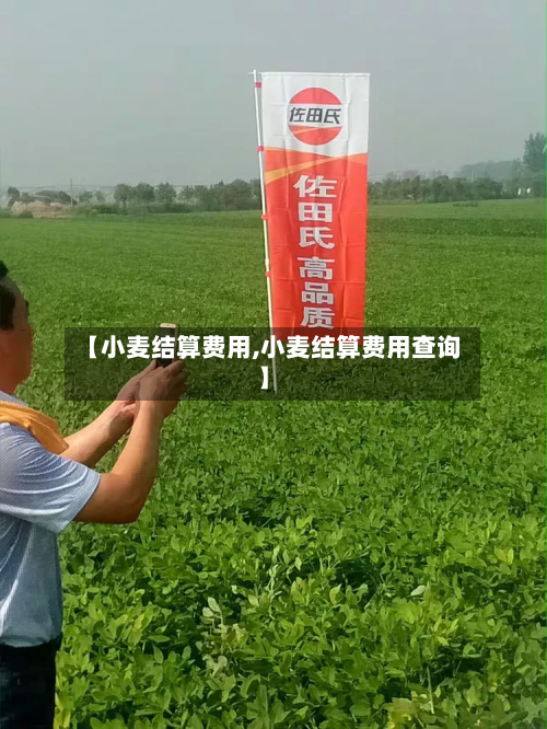 【小麦结算费用,小麦结算费用查询】