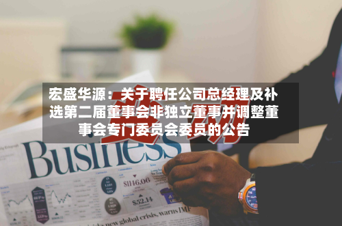 宏盛华源：关于聘任公司总经理及补选第二届董事会非独立董事并调整董事会专门委员会委员的公告