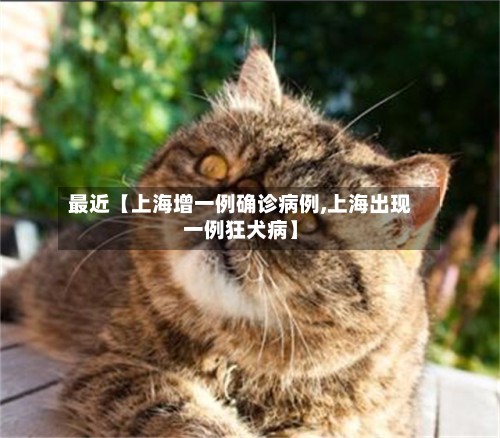 最近【上海增一例确诊病例,上海出现一例狂犬病】