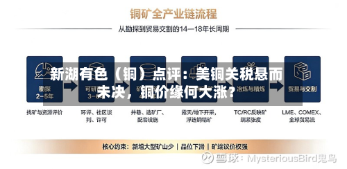 新湖有色（铜）点评：美铜关税悬而未决	，铜价缘何大涨？-第1张图片