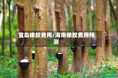 宝岛橡胶费用/海南橡胶费用预测