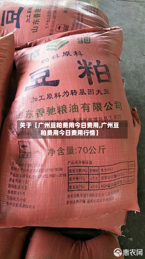 关于【广州豆粕费用今日费用,广州豆粕费用今日费用行情】