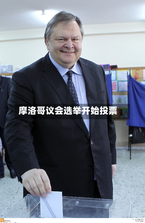 摩洛哥议会选举开始投票