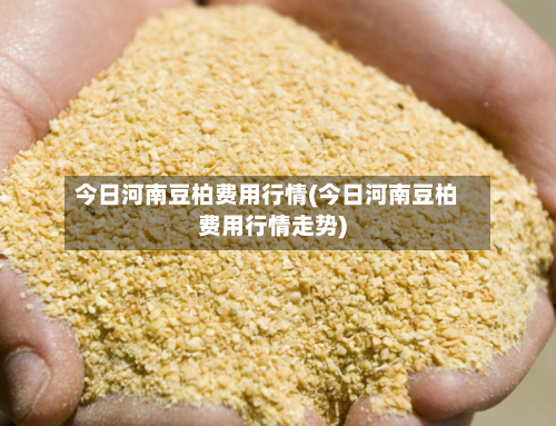 今日河南豆柏费用行情(今日河南豆柏费用行情走势)