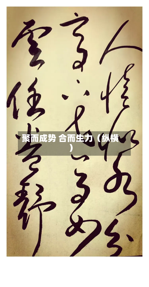 聚而成势 合而生力（纵横）