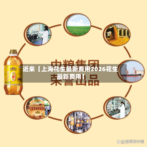 近来【上海花生最新费用2026花生最新费用】