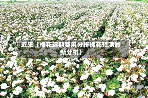 近来【棉花远期费用分析棉花预测最新分析】