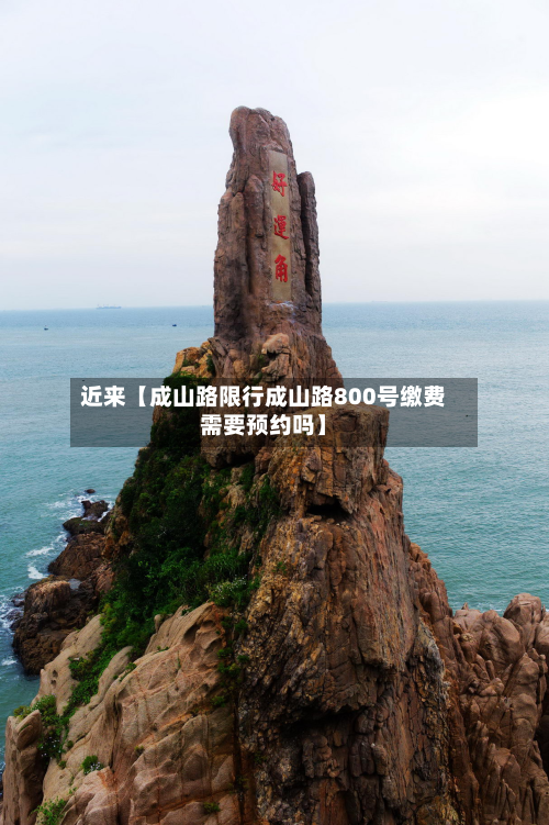 近来【成山路限行成山路800号缴费需要预约吗】