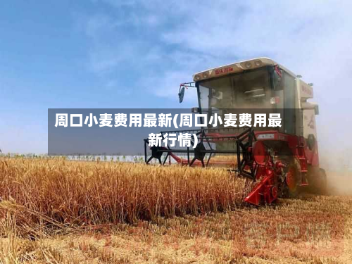 周口小麦费用最新(周口小麦费用最新行情)