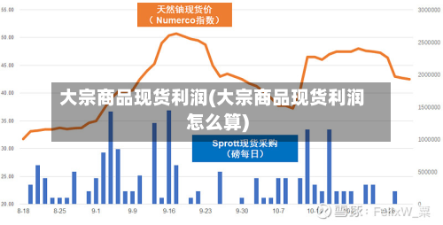 大宗商品现货利润(大宗商品现货利润怎么算)