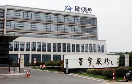 代价沉重，为省几百万	，星宇赴港上市果然遇阻，后悔也来不及了，给制造业敲响警钟